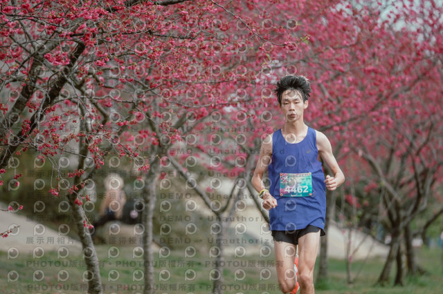 2026左岸竹東櫻花馬拉松Zhudong Sakura Marathon