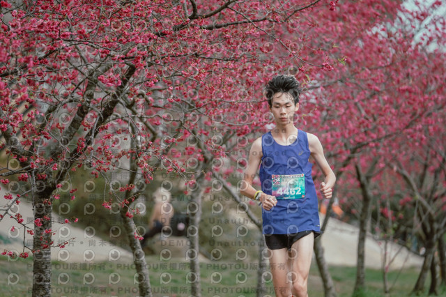 2026左岸竹東櫻花馬拉松Zhudong Sakura Marathon
