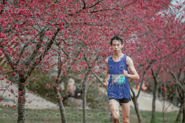 2026左岸竹東櫻花馬拉松Zhudong Sakura Marathon