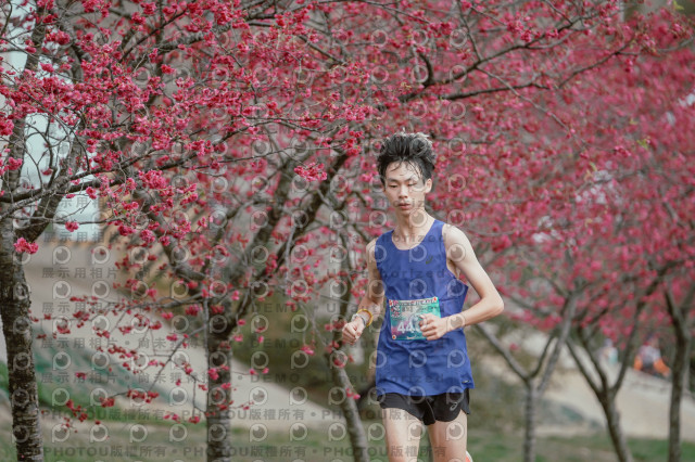 2026左岸竹東櫻花馬拉松Zhudong Sakura Marathon