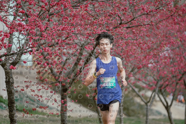 2026左岸竹東櫻花馬拉松Zhudong Sakura Marathon