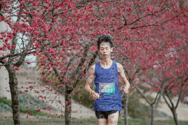 2026左岸竹東櫻花馬拉松Zhudong Sakura Marathon