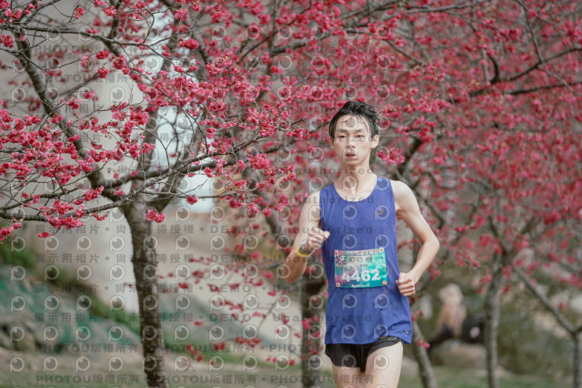 2026左岸竹東櫻花馬拉松Zhudong Sakura Marathon