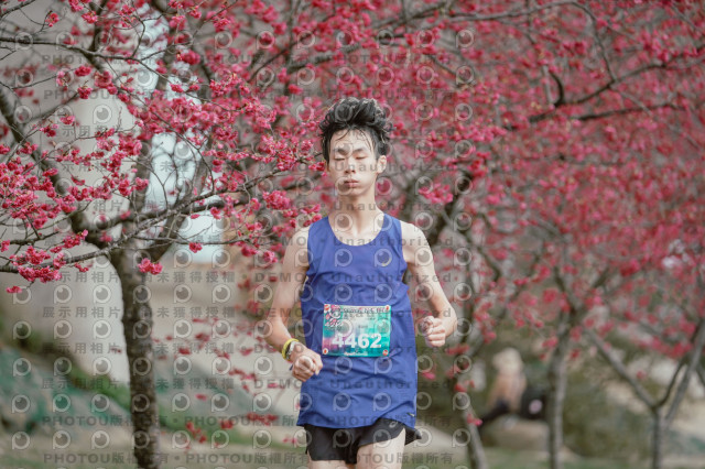 2026左岸竹東櫻花馬拉松Zhudong Sakura Marathon