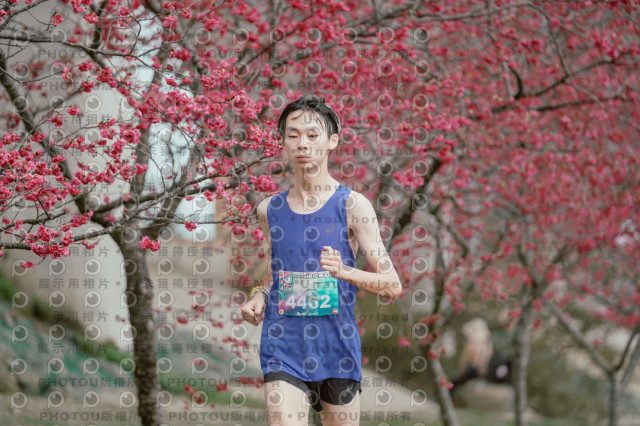 2026左岸竹東櫻花馬拉松Zhudong Sakura Marathon