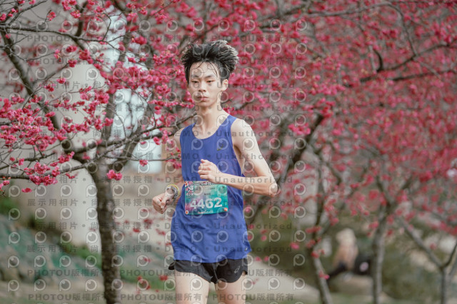 2026左岸竹東櫻花馬拉松Zhudong Sakura Marathon
