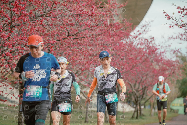 2026左岸竹東櫻花馬拉松Zhudong Sakura Marathon