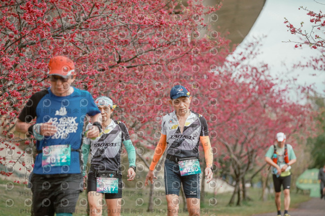2026左岸竹東櫻花馬拉松Zhudong Sakura Marathon