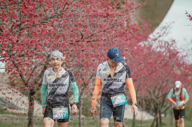 2026左岸竹東櫻花馬拉松Zhudong Sakura Marathon