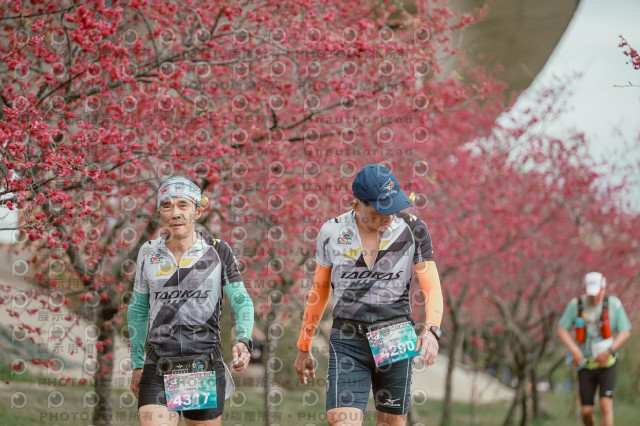 2026左岸竹東櫻花馬拉松Zhudong Sakura Marathon