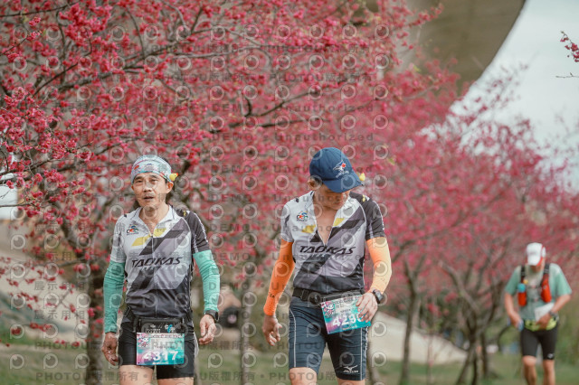 2026左岸竹東櫻花馬拉松Zhudong Sakura Marathon