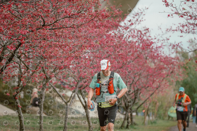 2026左岸竹東櫻花馬拉松Zhudong Sakura Marathon