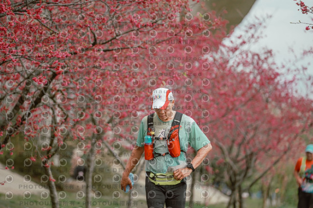 2026左岸竹東櫻花馬拉松Zhudong Sakura Marathon