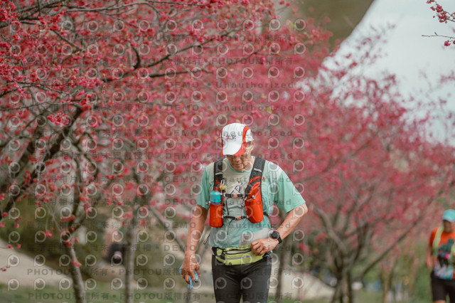 2026左岸竹東櫻花馬拉松Zhudong Sakura Marathon
