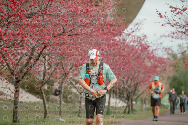 2026左岸竹東櫻花馬拉松Zhudong Sakura Marathon