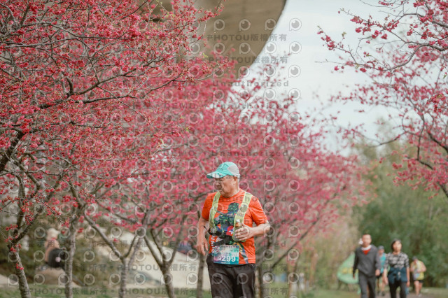 2026左岸竹東櫻花馬拉松Zhudong Sakura Marathon