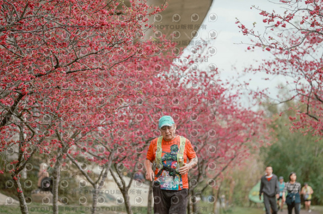 2026左岸竹東櫻花馬拉松Zhudong Sakura Marathon