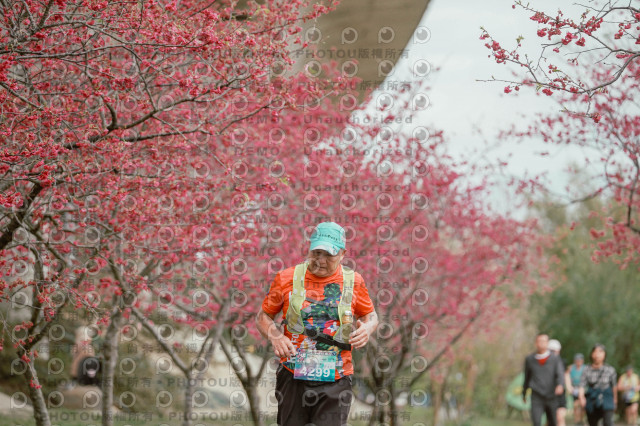 2026左岸竹東櫻花馬拉松Zhudong Sakura Marathon