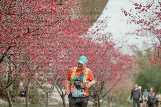 2026左岸竹東櫻花馬拉松Zhudong Sakura Marathon