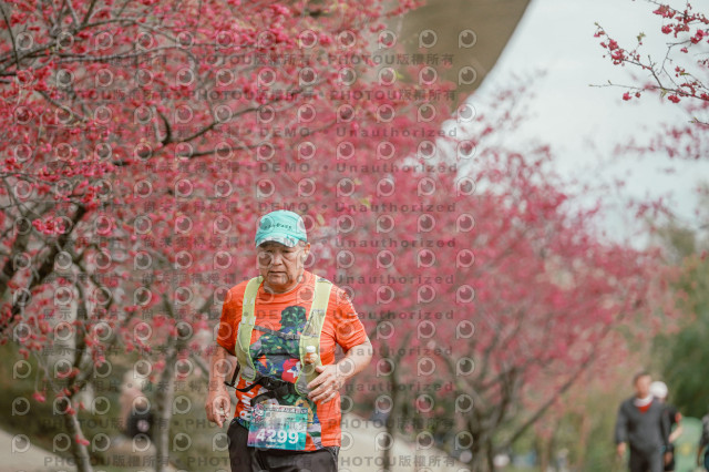 2026左岸竹東櫻花馬拉松Zhudong Sakura Marathon