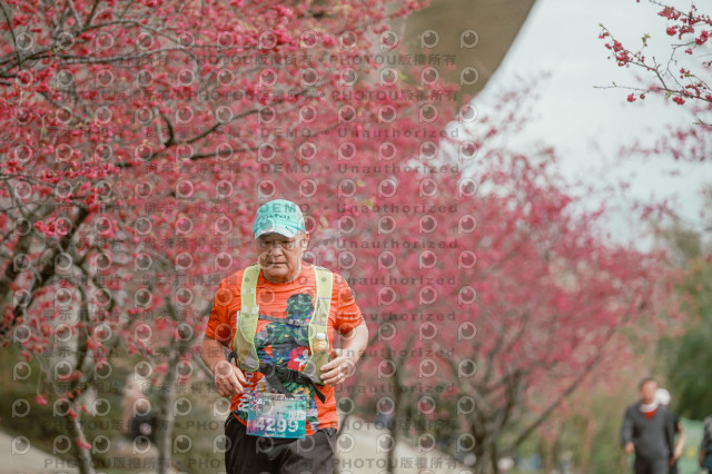 2026左岸竹東櫻花馬拉松Zhudong Sakura Marathon