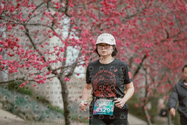 2026左岸竹東櫻花馬拉松Zhudong Sakura Marathon