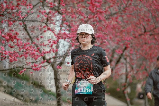 2026左岸竹東櫻花馬拉松Zhudong Sakura Marathon