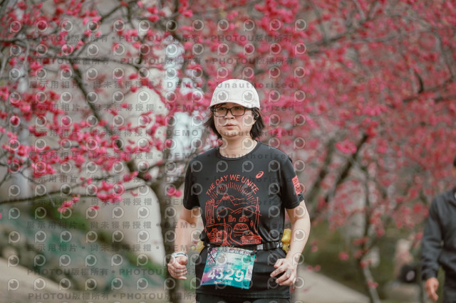 2026左岸竹東櫻花馬拉松Zhudong Sakura Marathon