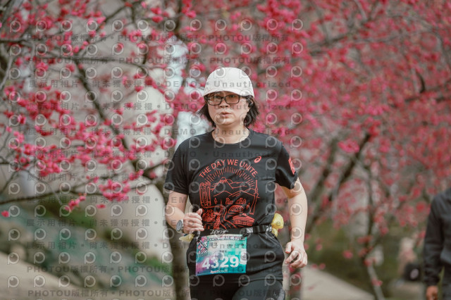 2026左岸竹東櫻花馬拉松Zhudong Sakura Marathon