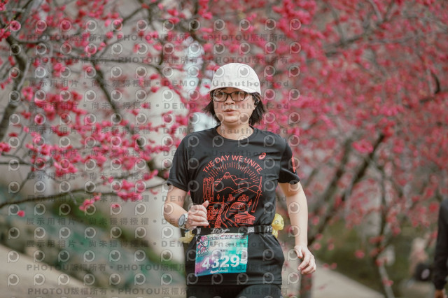 2026左岸竹東櫻花馬拉松Zhudong Sakura Marathon