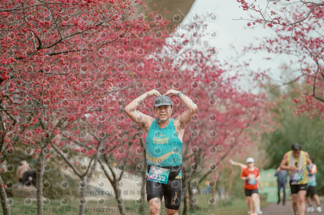 2026左岸竹東櫻花馬拉松Zhudong Sakura Marathon