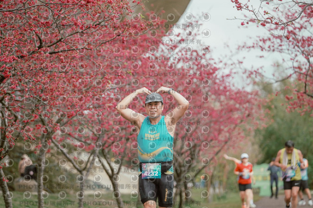 2026左岸竹東櫻花馬拉松Zhudong Sakura Marathon