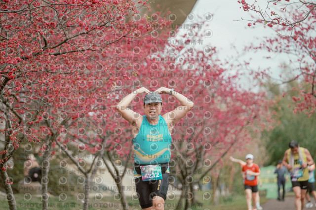 2026左岸竹東櫻花馬拉松Zhudong Sakura Marathon