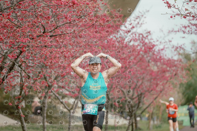 2026左岸竹東櫻花馬拉松Zhudong Sakura Marathon