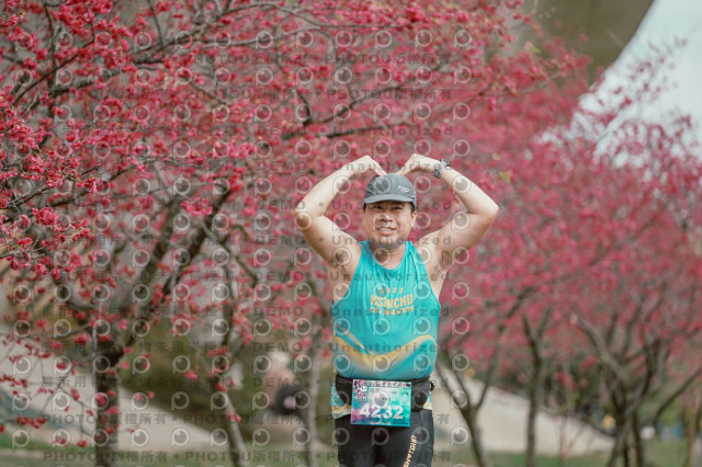 2026左岸竹東櫻花馬拉松Zhudong Sakura Marathon