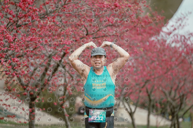 2026左岸竹東櫻花馬拉松Zhudong Sakura Marathon