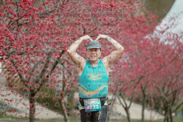 2026左岸竹東櫻花馬拉松Zhudong Sakura Marathon
