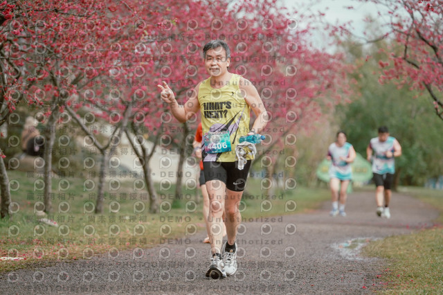 2026左岸竹東櫻花馬拉松Zhudong Sakura Marathon
