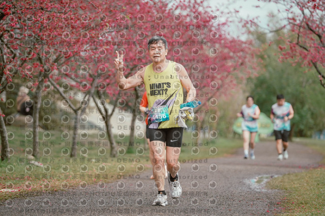 2026左岸竹東櫻花馬拉松Zhudong Sakura Marathon