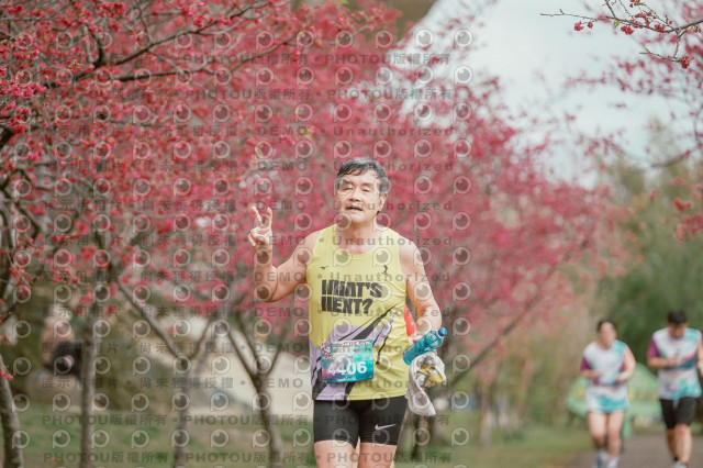 2026左岸竹東櫻花馬拉松Zhudong Sakura Marathon