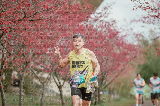 2026左岸竹東櫻花馬拉松Zhudong Sakura Marathon