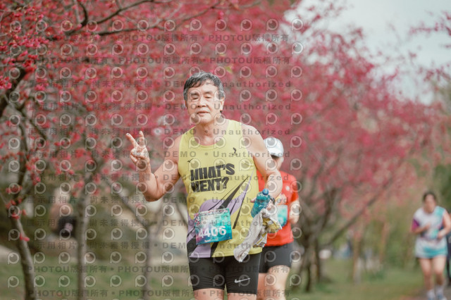 2026左岸竹東櫻花馬拉松Zhudong Sakura Marathon