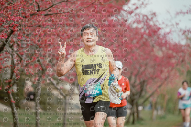 2026左岸竹東櫻花馬拉松Zhudong Sakura Marathon