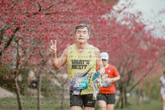 2026左岸竹東櫻花馬拉松Zhudong Sakura Marathon