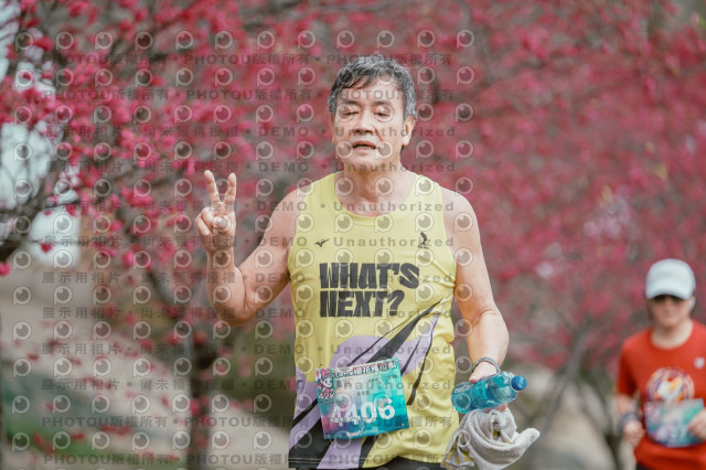 2026左岸竹東櫻花馬拉松Zhudong Sakura Marathon