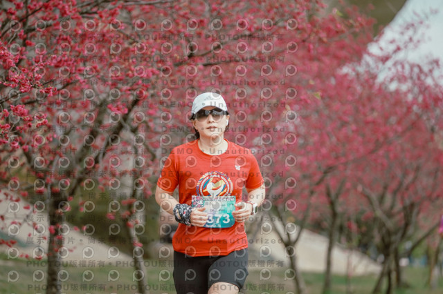 2026左岸竹東櫻花馬拉松Zhudong Sakura Marathon