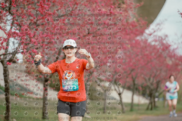 2026左岸竹東櫻花馬拉松Zhudong Sakura Marathon