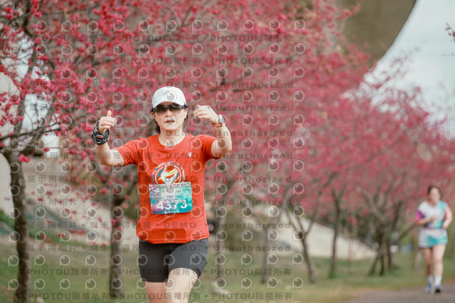 2026左岸竹東櫻花馬拉松Zhudong Sakura Marathon