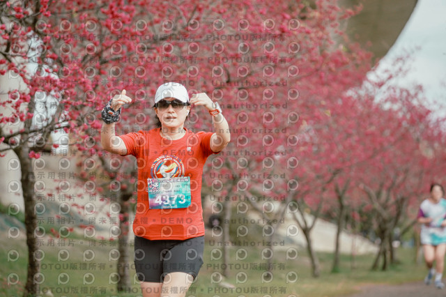 2026左岸竹東櫻花馬拉松Zhudong Sakura Marathon