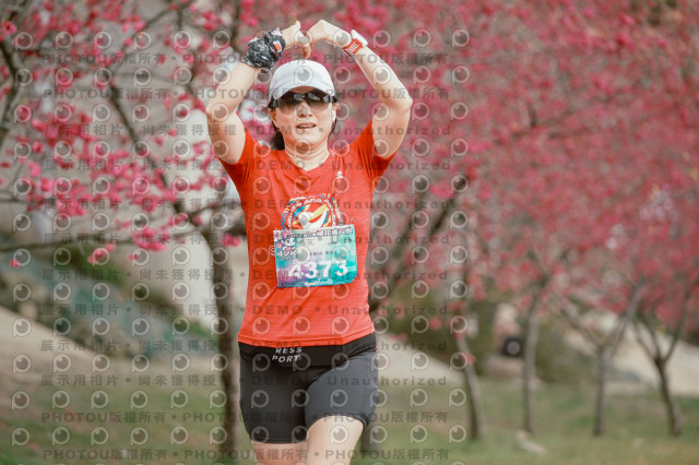 2026左岸竹東櫻花馬拉松Zhudong Sakura Marathon
